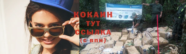 PSILOCYBIN Белоозёрский