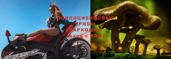 PSILOCYBIN Белоозёрский