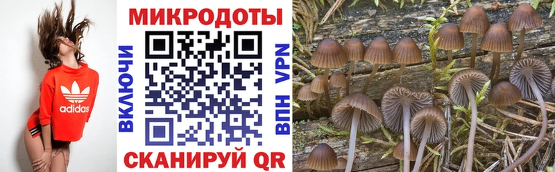 Псилоцибиновые грибы Psilocybine cubensis  omg ссылка  Полевской 