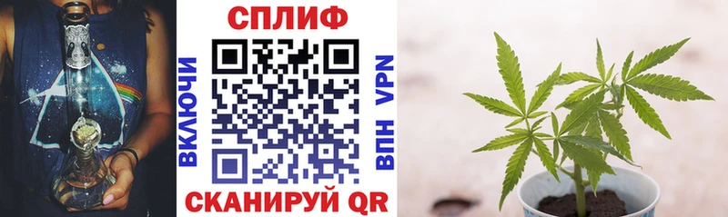наркотики  Полевской  МАРИХУАНА планчик 